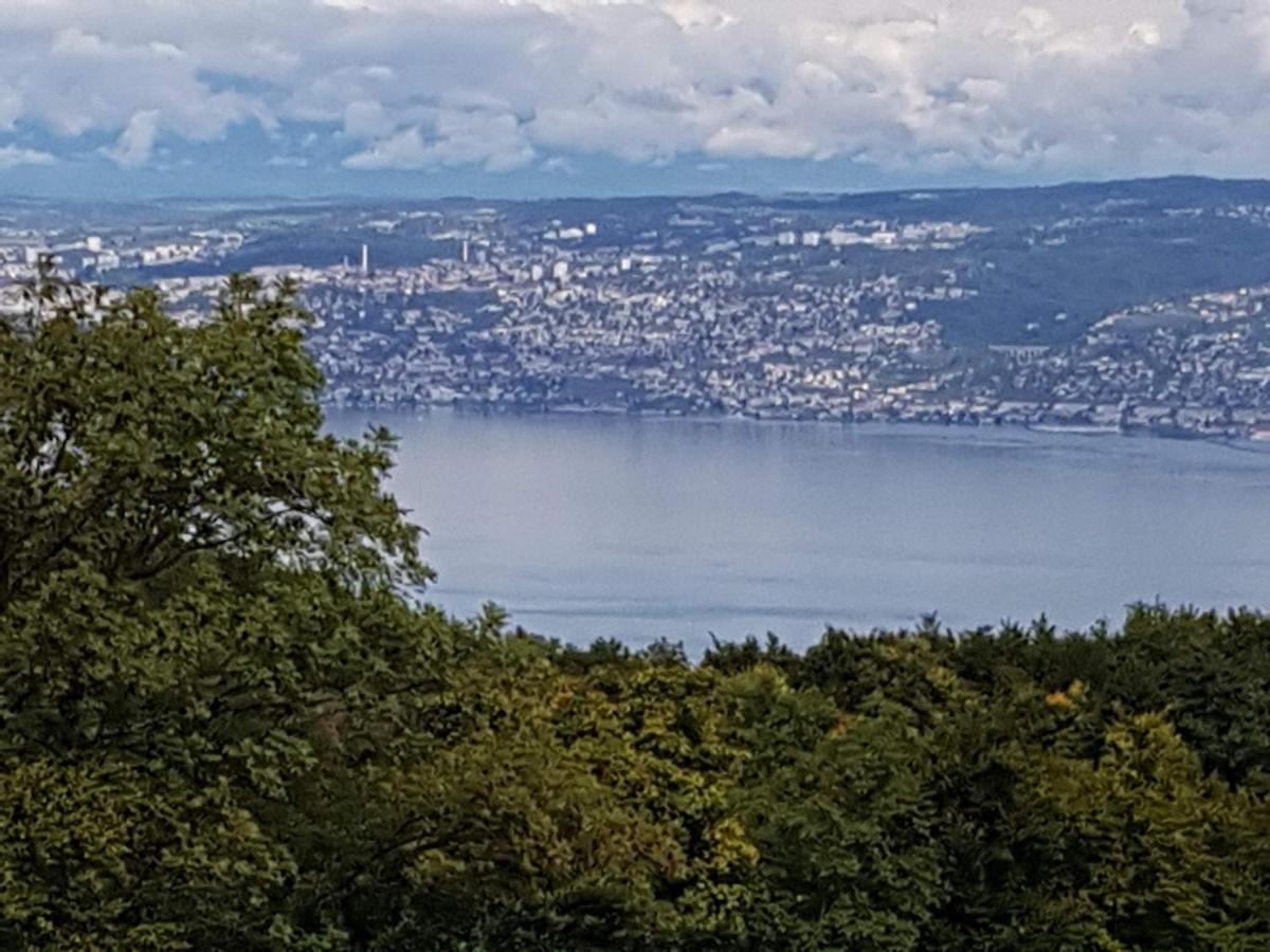 Superbe Appartement T2 3 Etoiles 40M2 Pied Des Pistes Vue Sur Le Lac Thollon-les-Memises Exterior photo